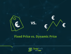 On a dark blue background, a price day with a euro sign is shown next to an ascending graph curve. Below it is the topic of this blog post: "Fixed Price vs. Dynamic Price". Our article explains the differences between the two pricing options. It's worth taking a look!