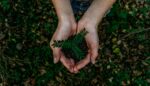 Best Sustainable Brands in Germany