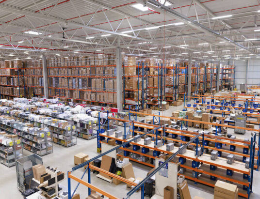 Image showing Descartes' e-commerce warehouse (WMS)