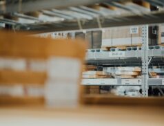 What are the largest product categories in German e-commerce? Why they win?