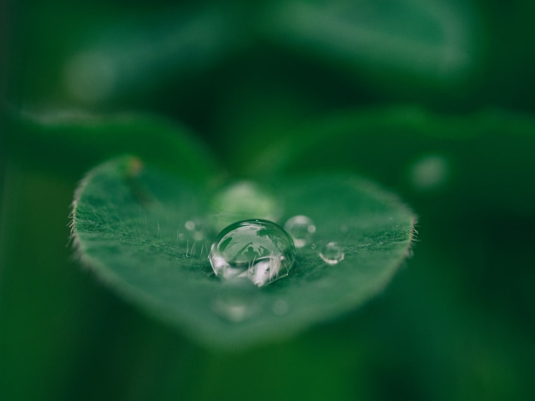 Why a sustainability strategy is vital for German e-commerce SMEs