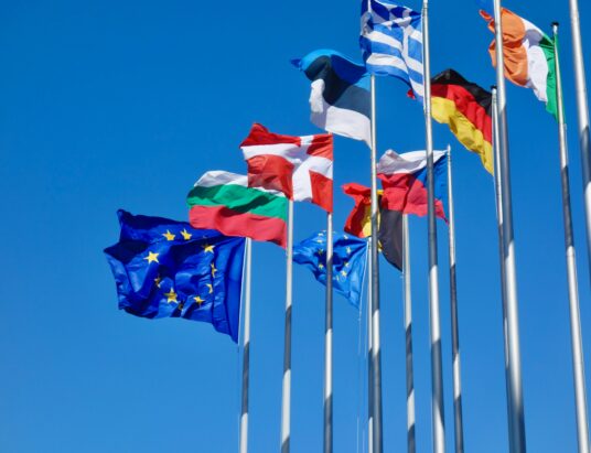 Same product, but different country: Why one-size-fits-all doesn’t work in the EU