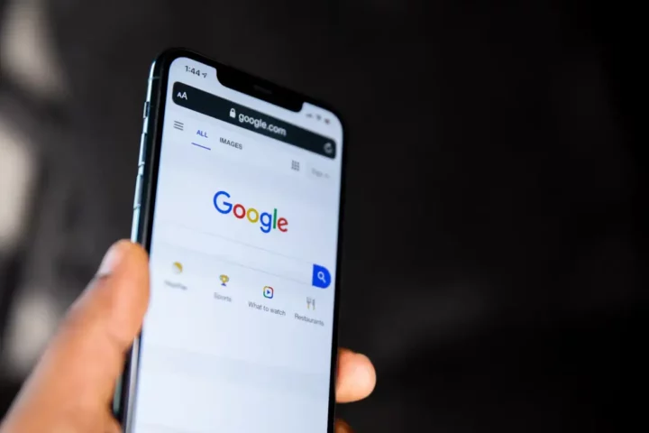 The picture shows Google search engines, it illustrates the article saying that Google removes product carousels